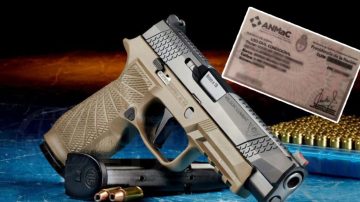 El Senado debate regularizar la tenencia de armas y extender el plan de entrega voluntaria hasta 2027