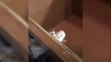 Cuestión de fe: se derrumbó todo y la Virgen del Cerro quedó intacta