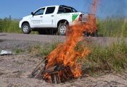 FOTOS: “Si quieres pájaros, planta árboles”, la campaña para cuidar la fauna santiagueña