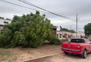 Fuertes vientos generan daños en Los Juríes y alertan a la población