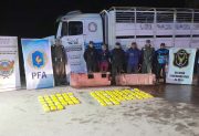 Interceptan a un camión en la Ruta N°9 que transportaba más de 70 kilos de cocaína