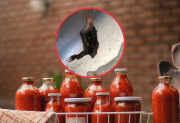 ¿Una rata en el envase? Una vecina bandeña compró un puré de tomate y se llevó una asquerosa sorpresa