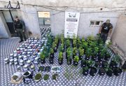 FOTOS: Secuestran armas, marihuana y documentos en un megaoperativo por tráfico de personas