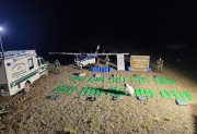 Cayó una avioneta narco con más de 320 kilos de cocaína: hay un gendarme herido