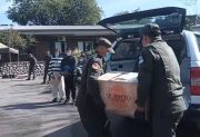 Gendarmería quemó más de 250 kilos de cocaína en Tucumán