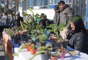 Se realizará una nueva edición del “Mercadito Saludable” en el Paseo Gabriel Ábalos