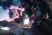 Violento arrebato en zona sur: una mujer terminó herida y hospitalizada