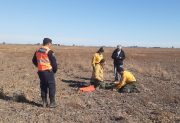 Rescatan a un Aguará Guazú con fracturas en sus patas delanteras y serias lesiones en el resto del cuerpo