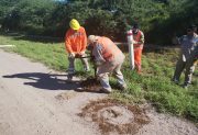 Vialidad Nacional pidió transitar con precaución por la Ruta Nacional 157
