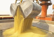 Las exportaciones de Santiago del Estero superaron la media nacional y se destacan en la región