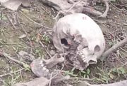 Qué se sabe del hallazgo de restos óseos, ropa y DNI de un hombre desaparecido en el Río Dulce