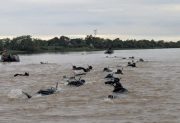 Murió un sargento del Ejército Argentino durante unas prácticas de buceo