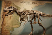 Bicharracosaurus: el descubrimiento argentino que asombra a paleontólogos