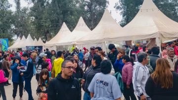 ¡Atención artesanos! Comenzó el proceso de preinscripción online para la Feria Artesanal 2026