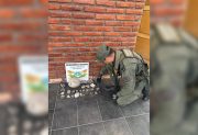 Hallan 33 fósiles en el baúl de un auto durante un operativo