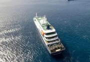 Investigan tres muertes por un posible brote de hantavirus en un crucero de expedición