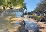 VIDEO. “No le molesta a nadie”, el reclamo de vecinos del barrio San Carlos