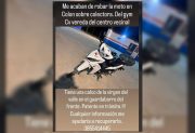 Robaron una moto frente a un gimnasio y piden ayuda para recuperarla