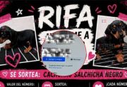 Rifaba un perro salchicha para “cumplir su sueño”: la publicación que indignó al Polaco