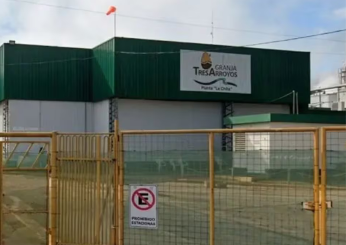 Crisis en la principal avícola del país: cerró una planta y peligra el trabajo de 950 personas.