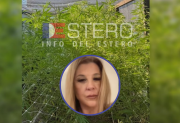 “Por la cantidad de plantas, ponen en duda que el cultivo fuera medicinal”