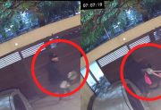 En menos de un minuto, un delincuente robó una bicicleta desde una vivienda y su dueña pide ayuda para recuperarla