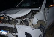 Camioneta chocó contra un vacuno en la Ruta Nº 92