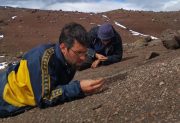 Histórico hallazgo en Santa Cruz: descubren una nueva especie de dinosaurio raptor