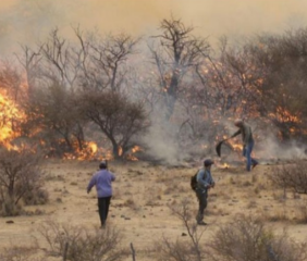 Incendios forestales: advierten que las heladas pueden convertir el pasto en combustible