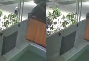 Cual “hombre araña”: así se robaban la luminaria del alumbrado público