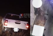 Una pareja de Monte Quemado se salvó de milagro tras chocar con un caballo en la Ruta 92