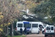 Se conocieron los primeros detalles del fallecimiento del Indio Solari: su cuidadora fue quien lo halló junto a la pileta