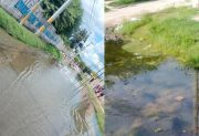Vecinos de La Católica denuncian graves problemas cloacales y proliferación de mosquitos