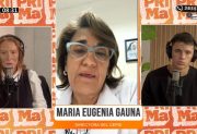 Preocupa el adelantamiento de los virus respiratorios: el Cepsi recibe 400 consultas diarias por guardia
