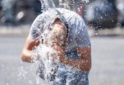 La ola de calor extrema en Europa ya dejó más de 1.000 muertos en una semana