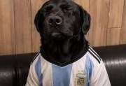 No pudo ser: Argentina se quedó sin la cuarta y los memes dieron que hablar en las redes sociales