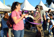 Con un evento de concientización se promocionará la tenencia responsable de mascotas