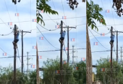 A plena luz del día: filman a un vecino trepando a un poste para “engancharse” en el cable de luz