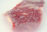 Investigadores del INTA desarrollaron un film biodegradable para conservar carne vacuna