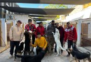Bichos: conocé a este enorme equipo que no rescata perros, “rescata vidas que el mundo ya había abandonado”
