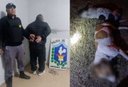 Detuvieron a un hombre tras confesar que mató a sus dos perros porque “le mataban los chivos”