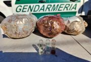 Encomienda narco: hallaron marihuana escondida dentro de un parlante durante un control