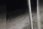 Robaron más de 100 metros de cable del alumbrado en la avenida Circunvalación de Añatuya