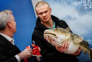 Ni el asado los tienta: Noruega llegó al Mundial con 580 kilos de comida propia