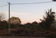 La Banda: denuncian que un “monte” convertido en basural favorece los robos a metros de la Autopista