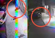 VIDEO | Un ladrón fue filmado robando la batería y el estéreo de un auto estacionado