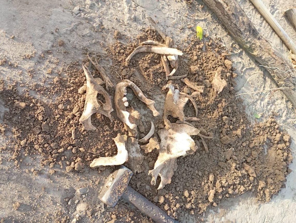 Las Termas: cavó un pozo para poner un poste y encontró restos óseos que serían humanos