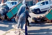 Por la carga excesiva se desplomó un caballo en plena Av. Colón