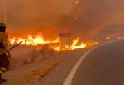 España: Graves incendios forestales dejaron al menos 12 muertos y 25 desaparecidos