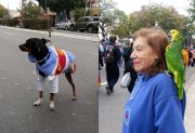 Las mejores fotos de la 12° Marcha de las Cuerdas y Fuelles: del loro Tony a Teodoro, todo el color de una fiesta mágica